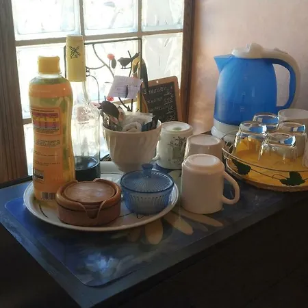 Le Grand Paris Apartments פריז